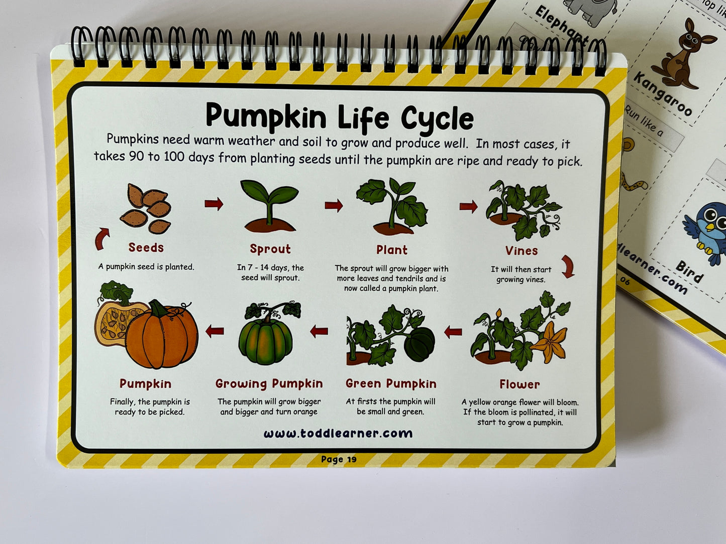 Deals @149 - Learning Life Science Part 1 and Part 2 Bundle for Children