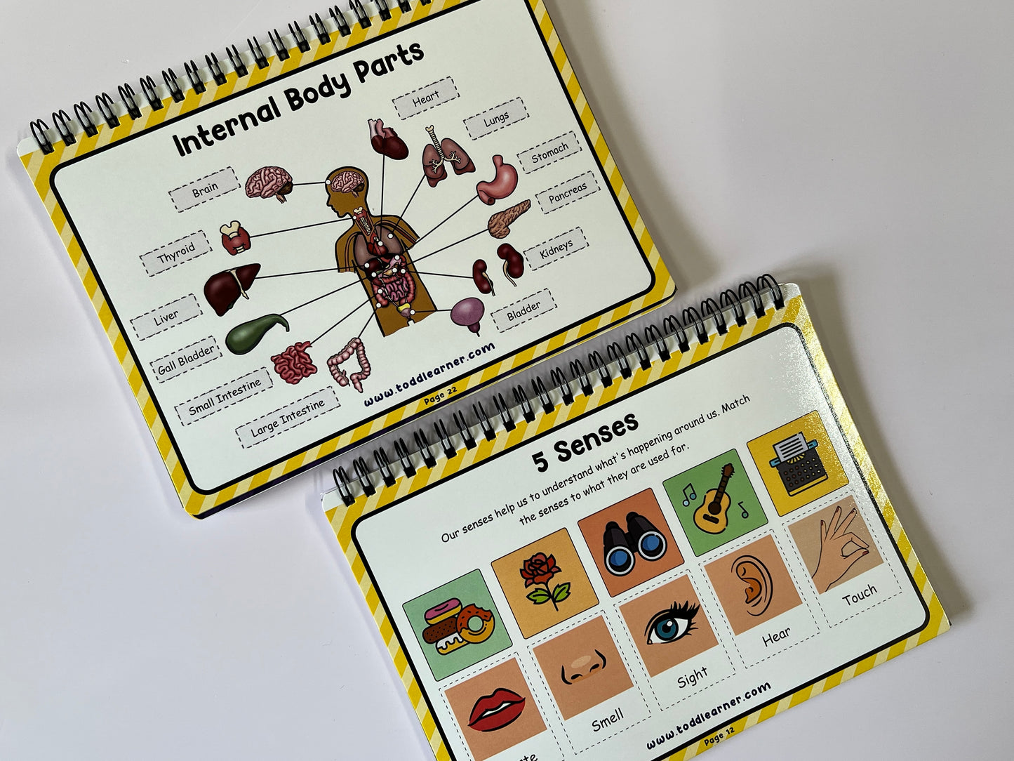 Deals @149 - Learning Life Science Part 1 and Part 2 Bundle for Children