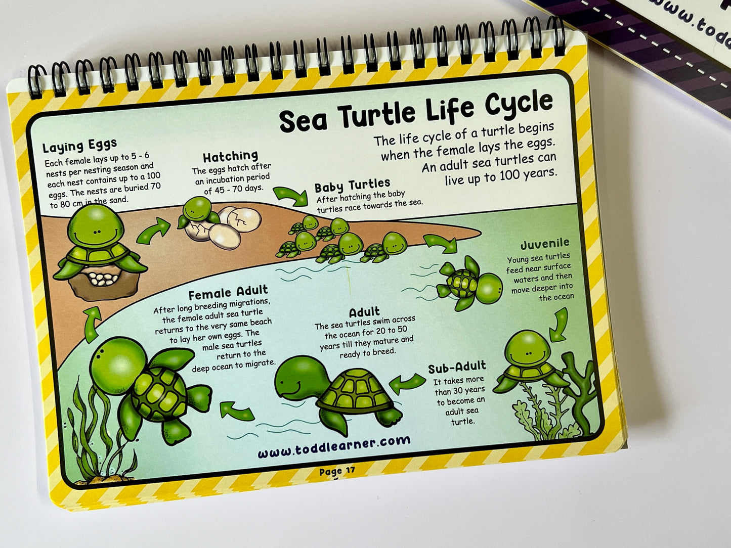 Deals @149 - Learning Life Science Part 1 and Part 2 Bundle for Children